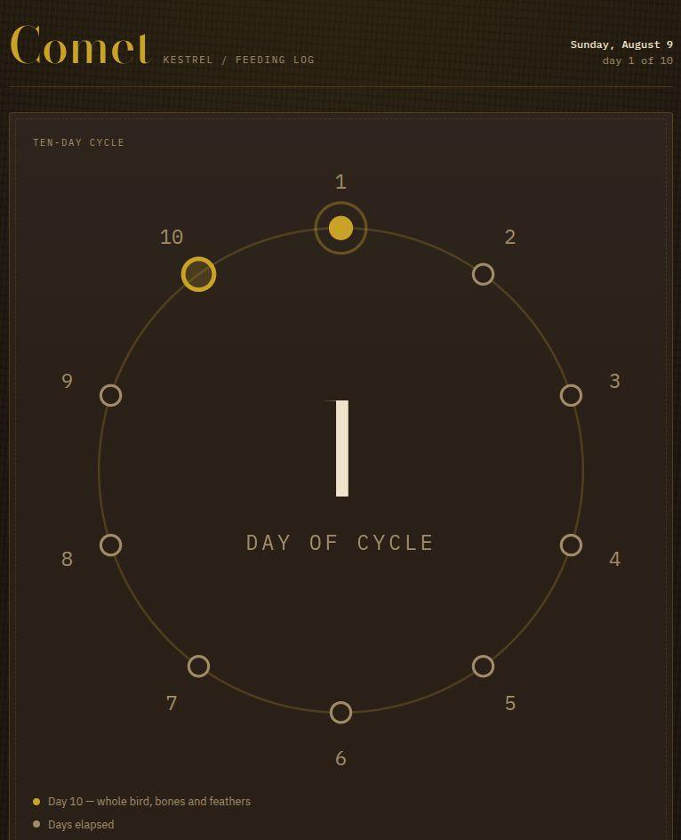 Cycle view